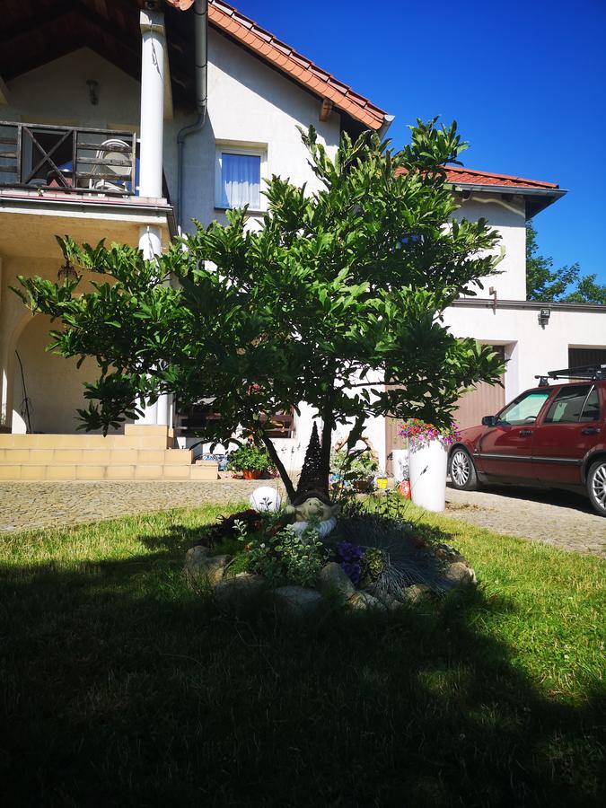 Casa Del Fasa Appartement Polanica-Zdrój Buitenkant foto